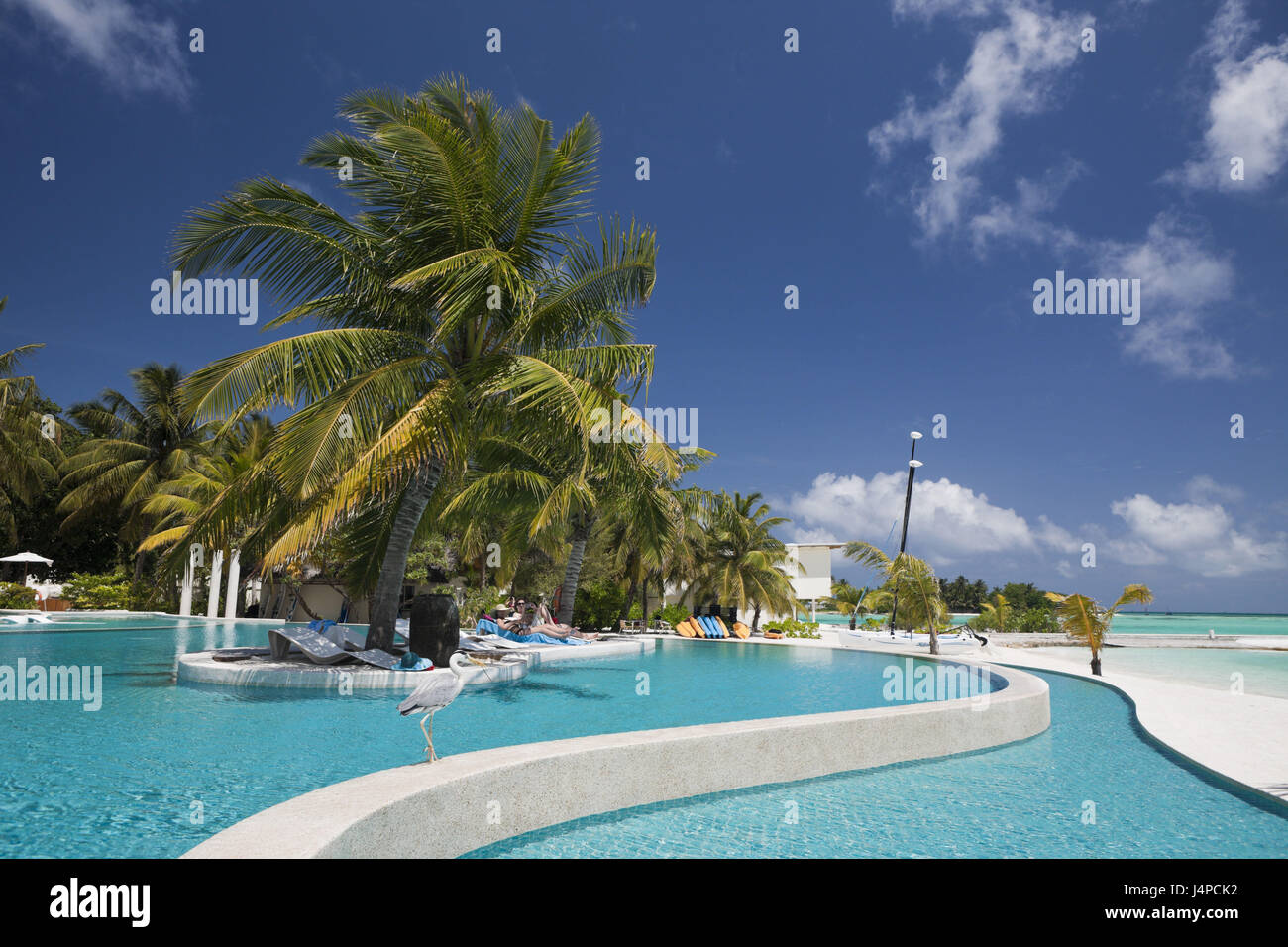 Piscine de l'île de Veligandu Huraa Maldives, les Maldives, le sud de l'atoll, les temps Banque D'Images