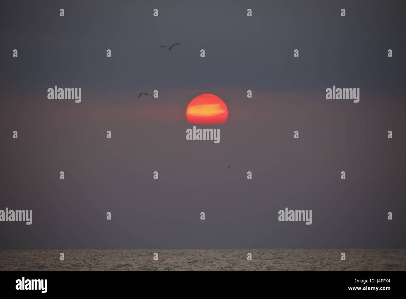 El Salvador, Garita Palmera, la mer, les mouettes, le coucher du soleil, Banque D'Images