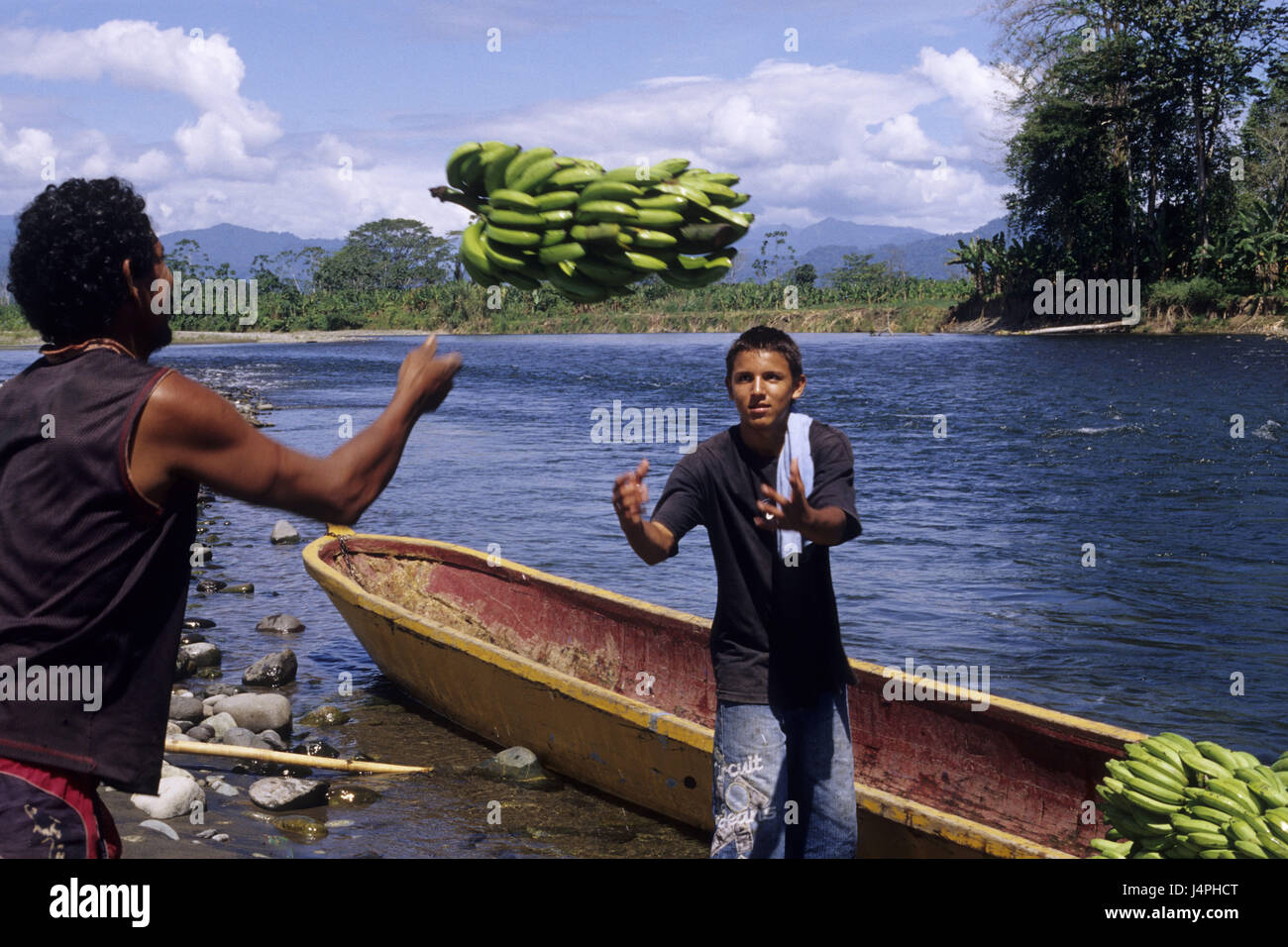 Costa Rica, hommes, Bribri, banane, voile, charge, Banque D'Images