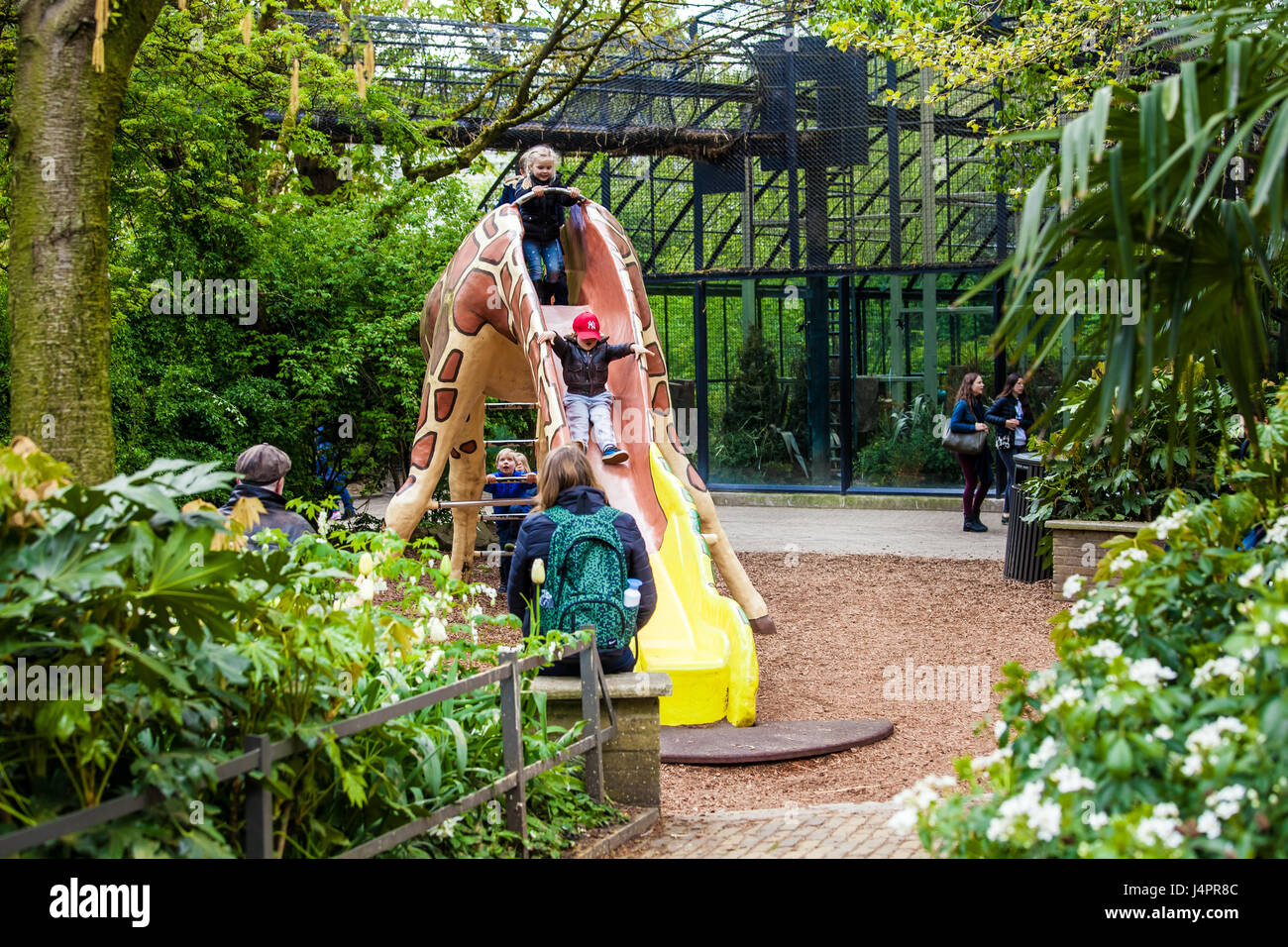 Amsterdam, Pays-Bas - Avril, 2017 : Kids in Amsterdam City Zoo, Pays-Bas Banque D'Images