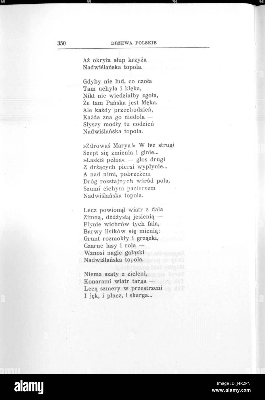 'Ziemia Polska w piesni 392' fait référence à une chanson ou une œuvre littéraire polonaise. Le titre se traduit par « la terre polonaise dans la chanson 392 », représentant probablement une collection ou une œuvre liée à l'histoire, la culture ou le patriotisme polonais, peut-être à travers la musique ou la poésie. Banque D'Images