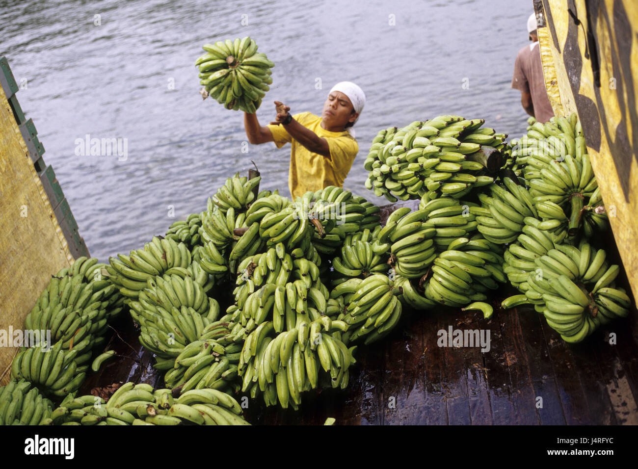 Costa Rica, homme, Bribri, bateau, bananes, camion, frais, Banque D'Images