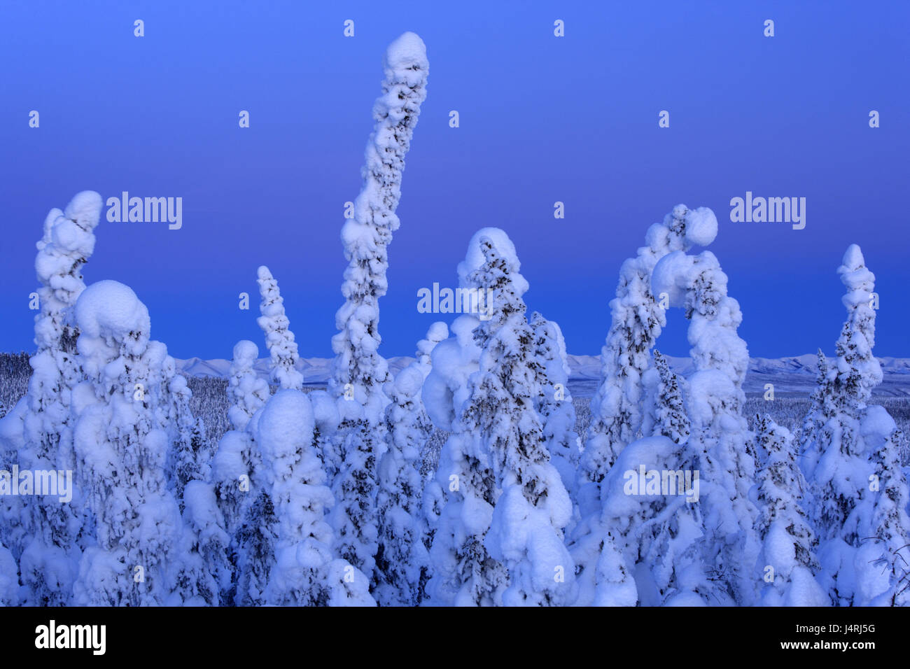Amérique du Nord, Canada, Territoire du Yukon, Territoire du Yukon, Dempster, la Harde de plateau, paysage d'hiver, les monts Richardson, Banque D'Images