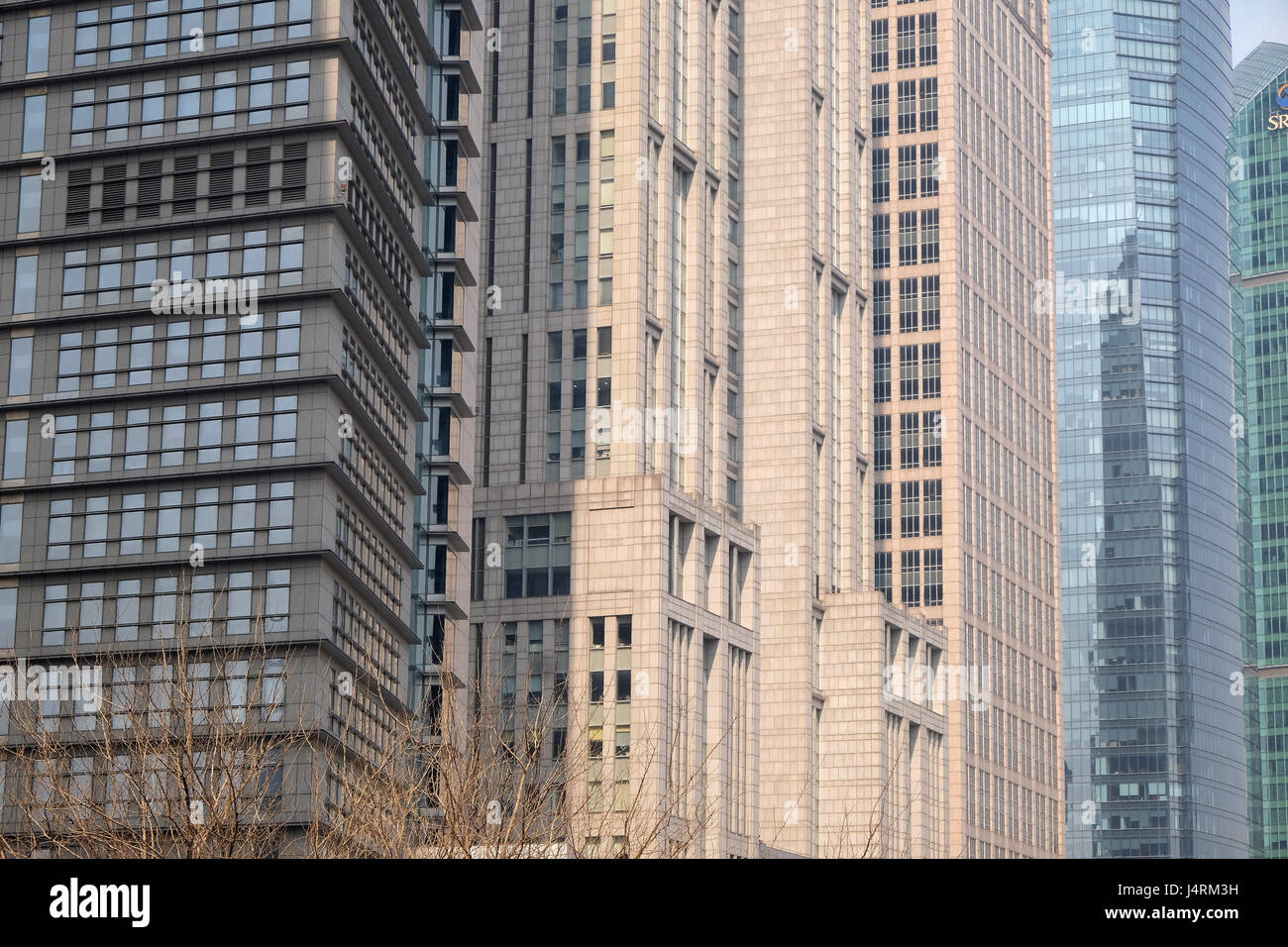 Centre financier de Shanghai gratte-ciel, Chine Banque D'Images