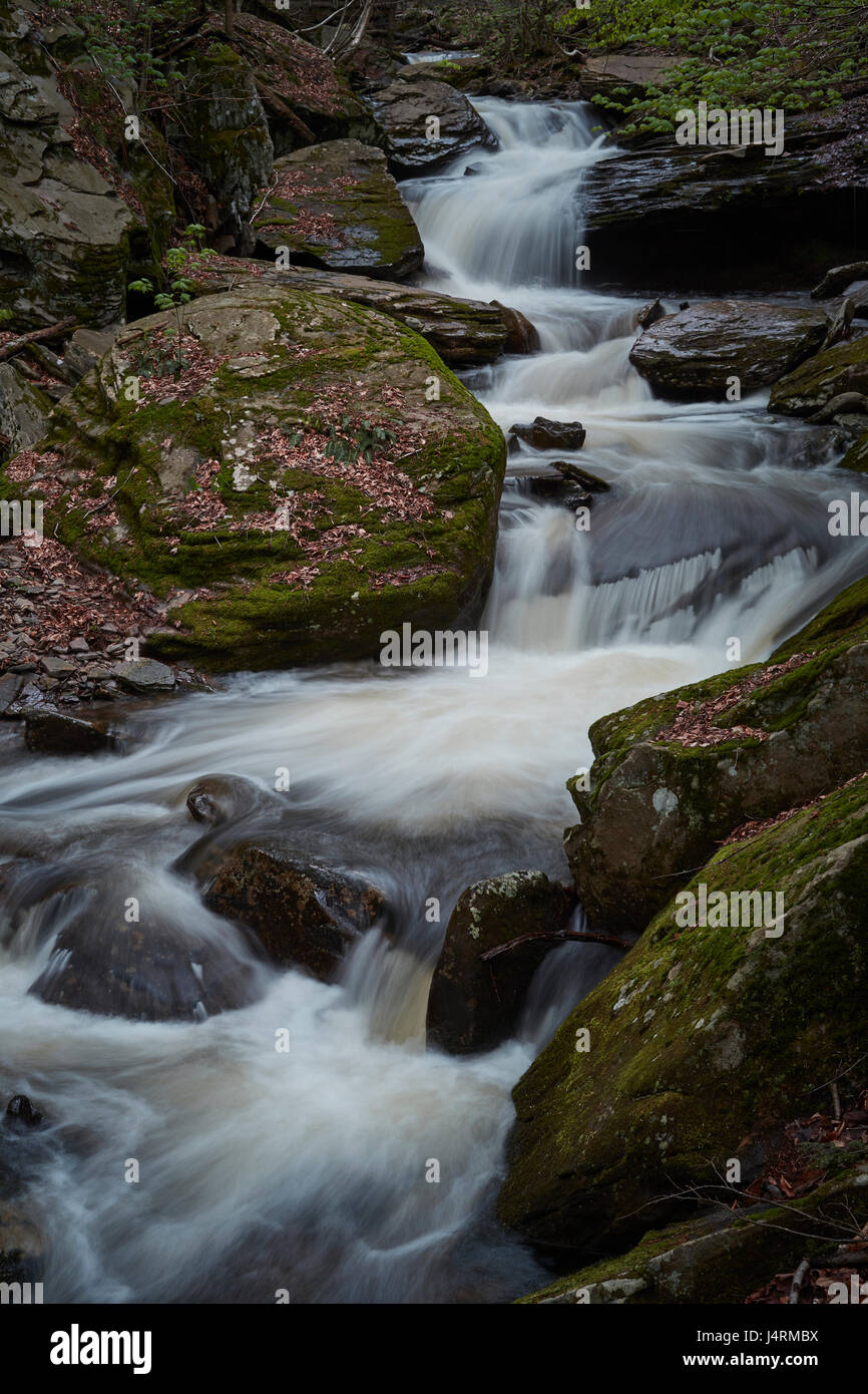 Ricketts Glen State Park, Benton, Arkansas, Usa Banque D'Images