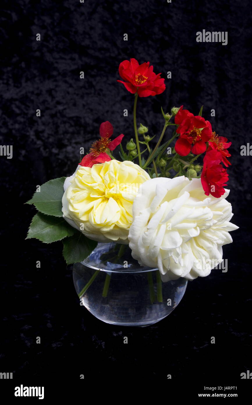 Le pèlerin rose fleur jaune crème et Geum Mme J Bradshaw fleur rouge dans un vase en verre afficher sur un fond noir Banque D'Images