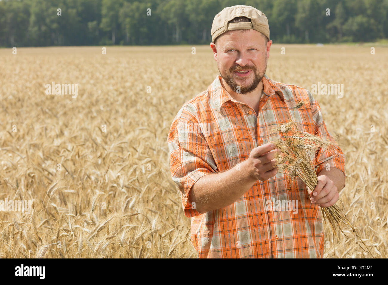 Agriculteur de la comité permanent sur le terrain avec les oreilles de seigle Banque D'Images