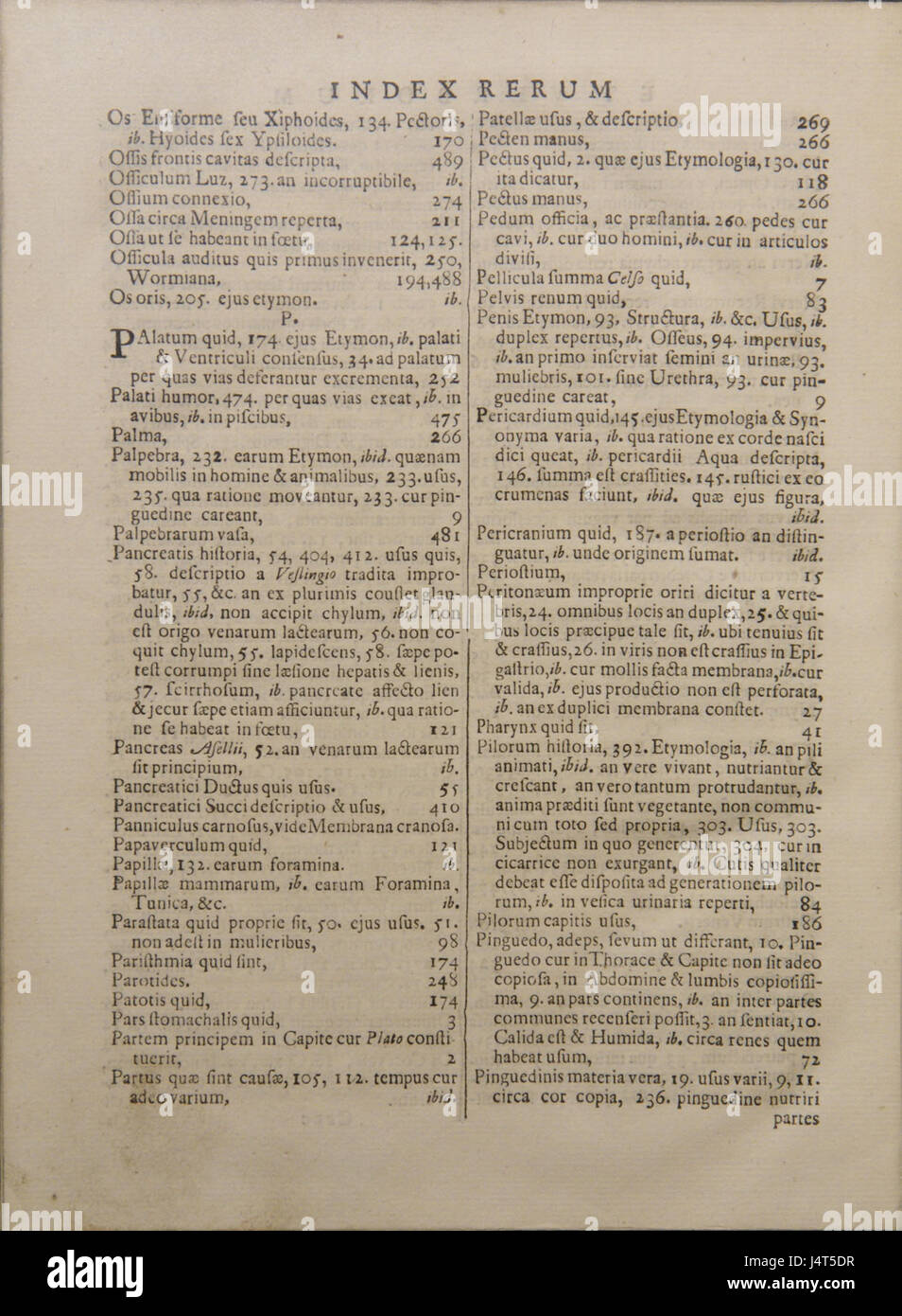 Vesling anatomicum Syntagma a 010 Banque D'Images