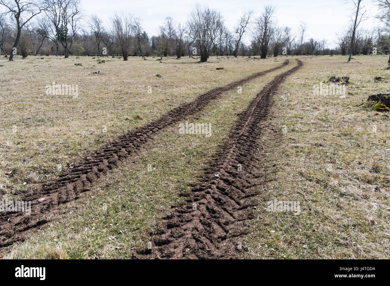 Les chenilles du tracteur dans un pré au printemps Banque D'Images