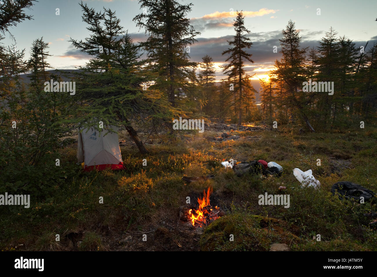 Camping situé dans un paysage de taïga. Plateau de Putorana. Réserver Putorana. Au nord de la Russie. La Sibérie. Banque D'Images