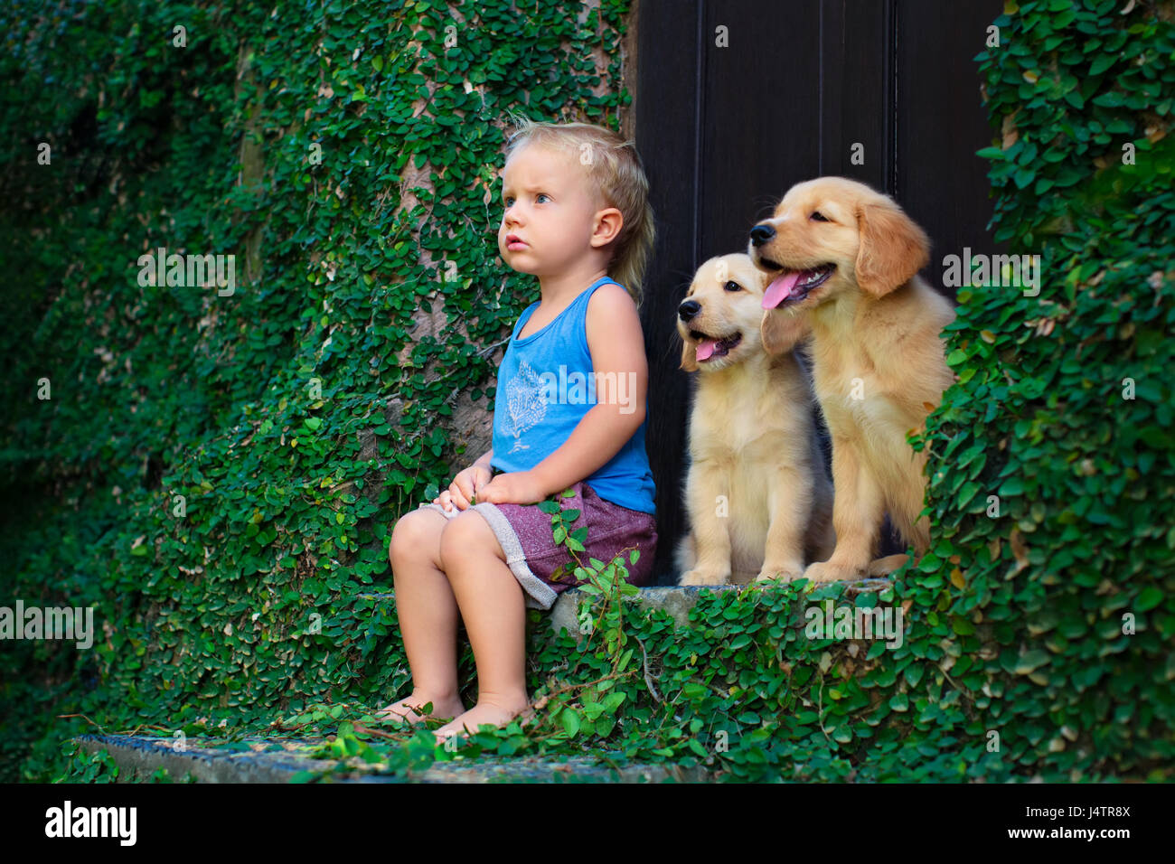 Funny photo de happy baby boy sitting avec deux chiots golden retriever du Labrador, jouent ensemble. Vie familiale, formation chien. Des émotions positives Banque D'Images