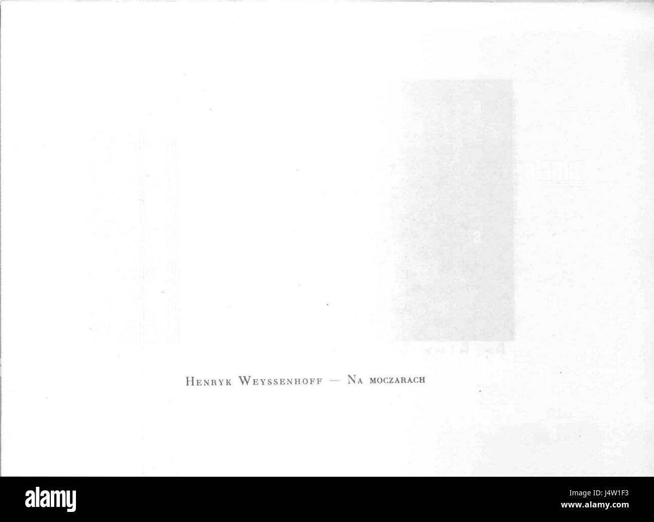 'Ziemia Polska w Piesni' fait référence à une chanson ou hymne polonais. Le titre se traduit par « la terre polonaise dans la chanson » et reflète la fierté nationale, l'histoire et le patrimoine culturel de la Pologne dans la musique. Banque D'Images