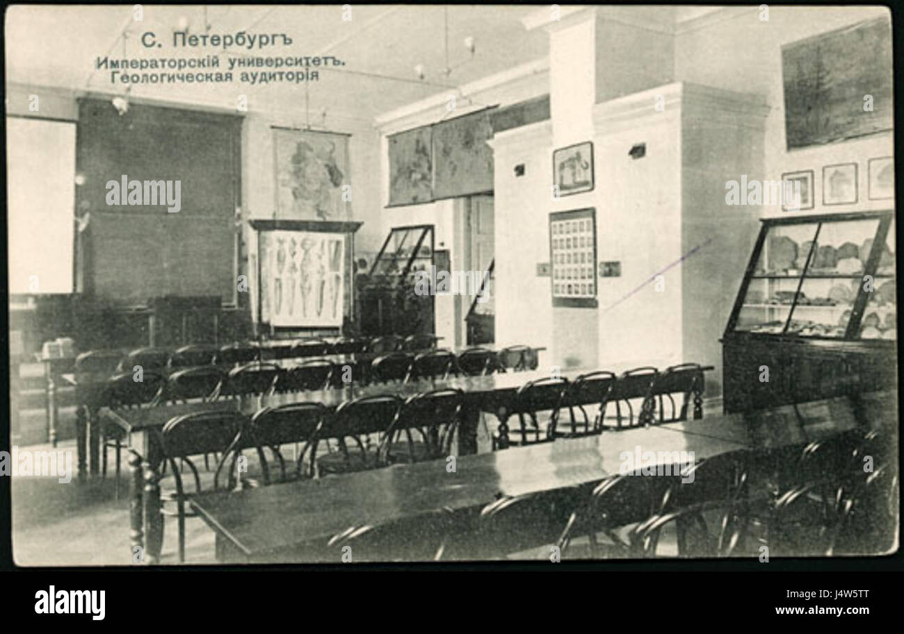 L'île Vasilievsky à Pétersbourg, en Russie, est une partie historique de la ville, située le long de la rivière Neva. Il est connu pour son patrimoine culturel et architectural important, y compris des monuments comme les colonnes rostrales et l'Académie des sciences. Banque D'Images