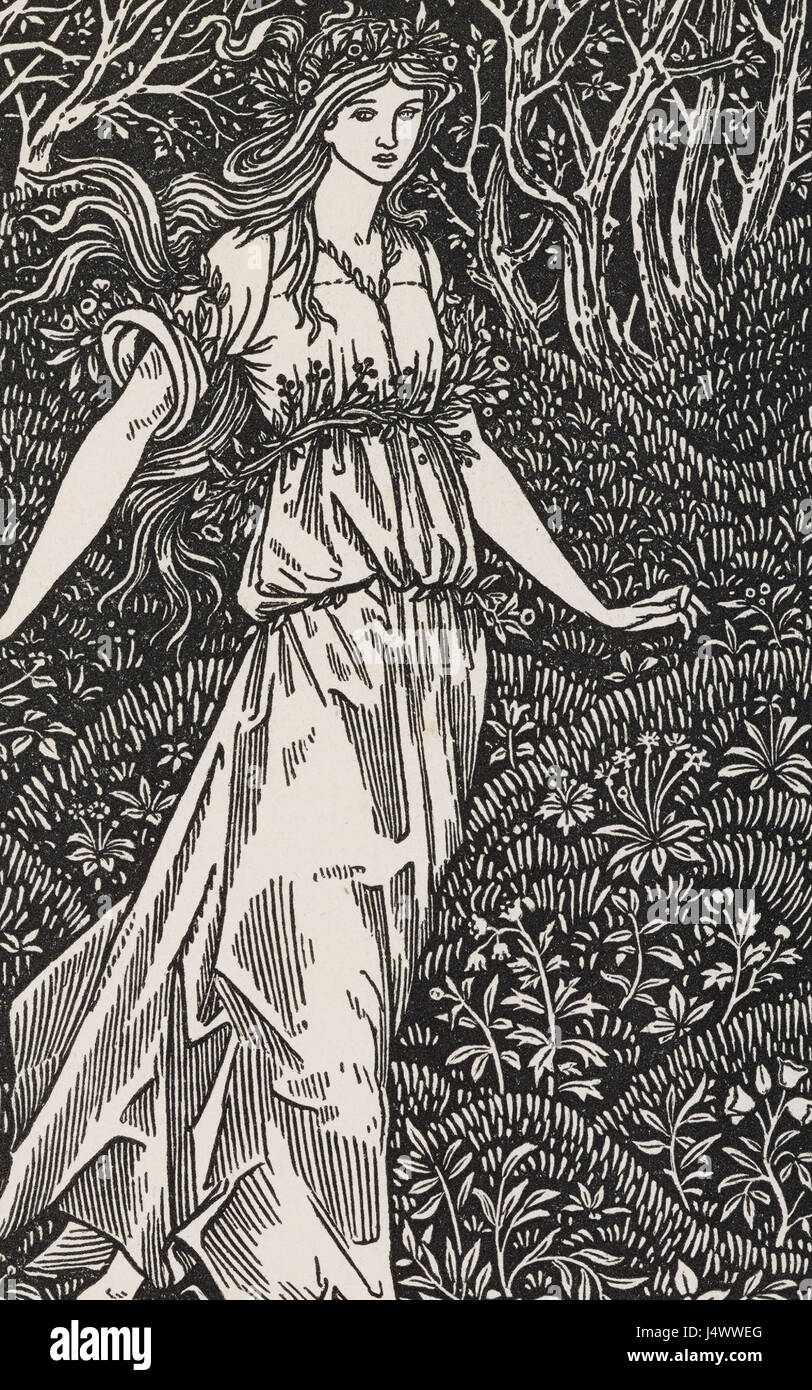 Le bois au-delà du monde Banque D'Images