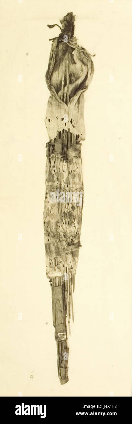 Photographies du tombeau de Toutankhamon, en particulier l'image 5 489, qui documente la découverte du tombeau et de ses trésors. Ces photographies sont essentielles pour comprendre l'archéologie égyptienne antique et le contenu de tombâ€™s. Banque D'Images