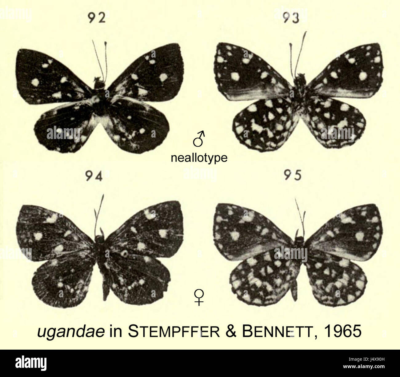 « Ugandae inSB1965 » peut faire référence à un document historique spécifique de l'Ouganda en 1965, potentiellement lié à des événements politiques ou à des études géographiques. Banque D'Images