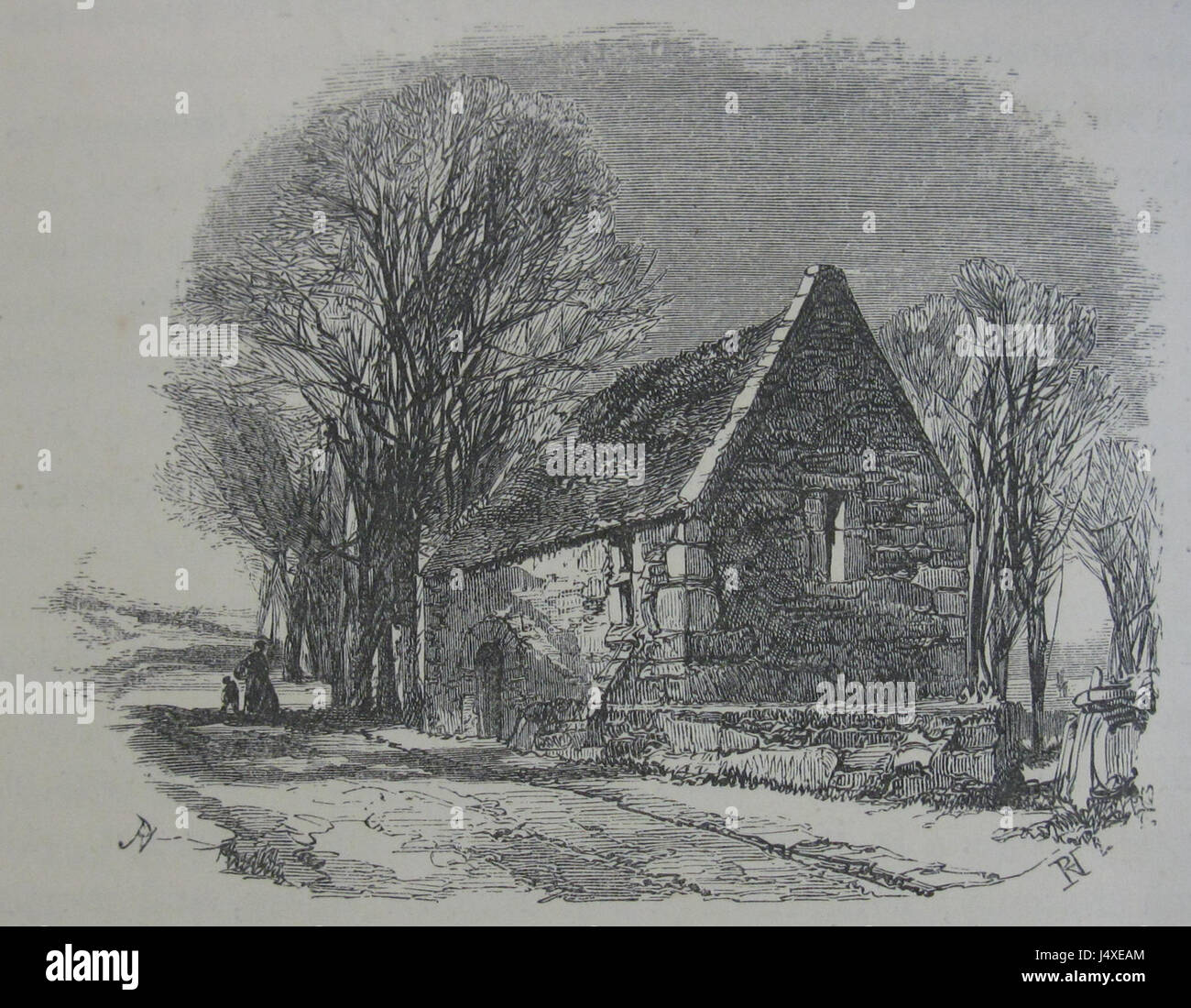 Une illustration géologique intitulée 'les îles Anglo-Normandes 1862' par Ansted et Latham, planche 31, représentant les caractéristiques géologiques des îles Anglo-Normandes. Banque D'Images