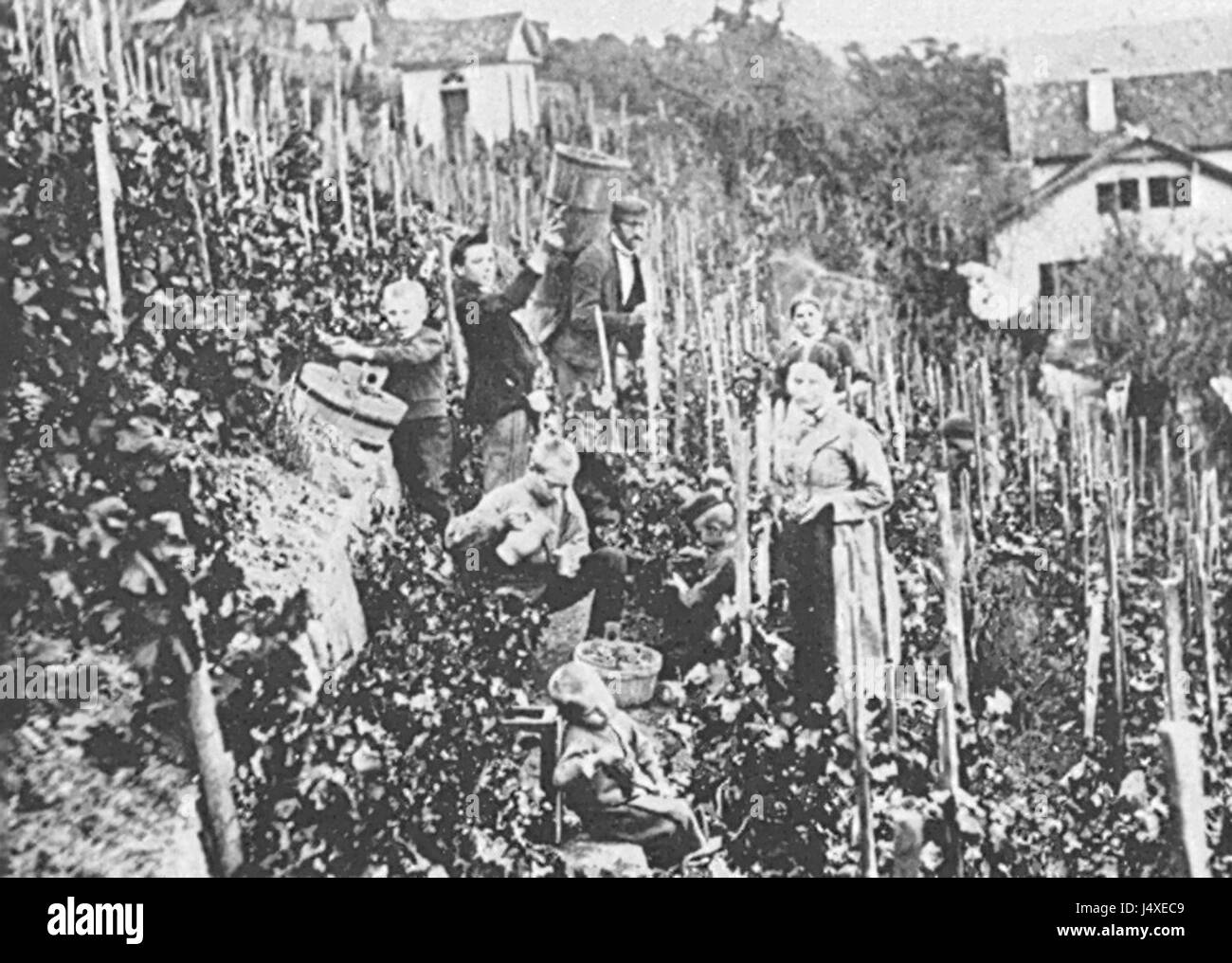 Weinberg Gartenstr 75 fait référence à une adresse ou un lieu spécifique, probablement en Allemagne, associé à une propriété ou un point de repère. Cette entrée peut faire référence à un site historique, un bâtiment ou une zone résidentielle. Banque D'Images Weinberg Gartenstr 75 fait référence à une adresse ou un lieu spécifique, probablement en Allemagne, associé à une propriété ou un point de repère. Cette entrée peut faire référence à un site historique, un bâtiment ou une zone résidentielle. Banque D'Images