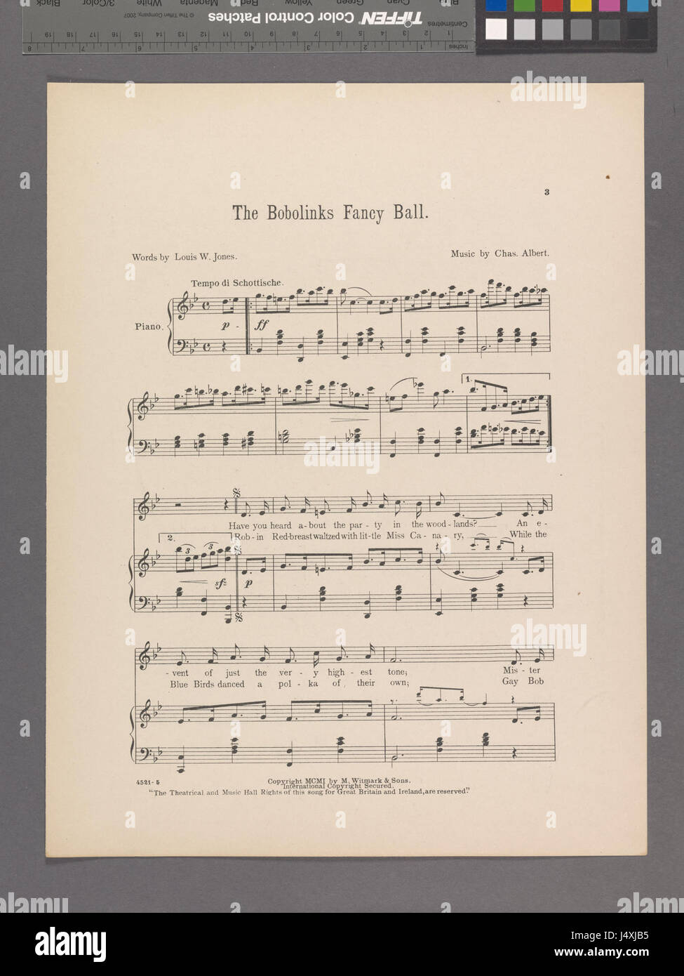 Une représentation du Bobolinks Fancy Ball, un événement historique capturé dans une illustration, mettant en valeur la mode et la vie sociale du début du XXe siècle. Cet événement reflète la scène culturelle de l'époque, marquée par son accent sur la mode et les rassemblements sociaux d'élite. Banque D'Images