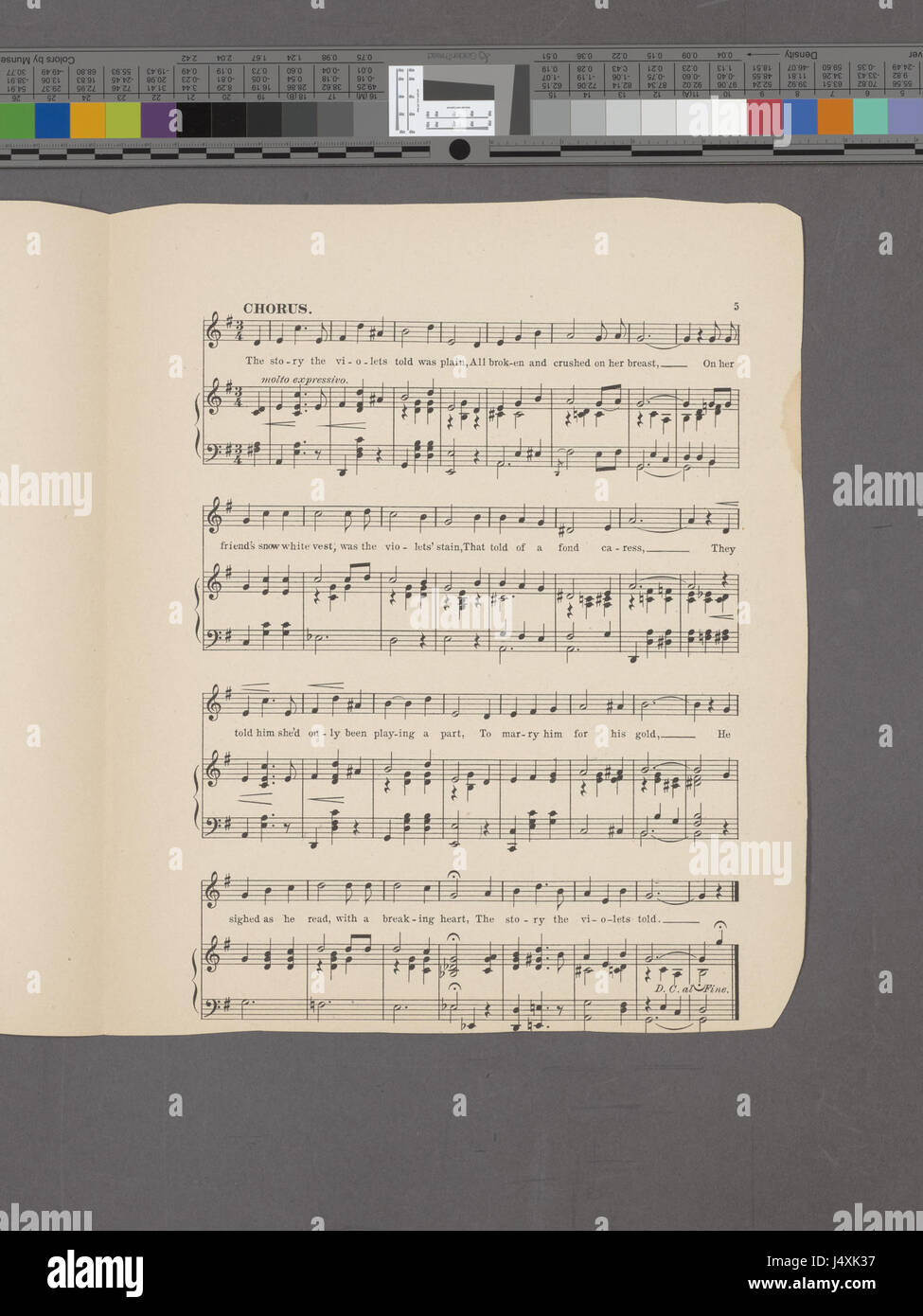 L'histoire les violettes (NYPL dit Hadès 1937419 2003115) Banque D'Images