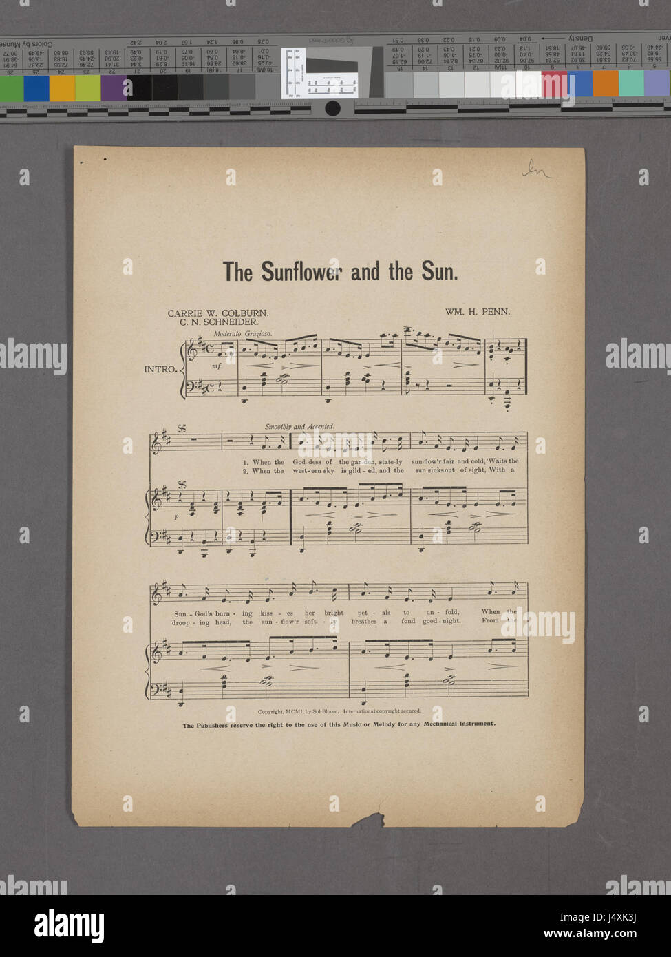 Cette œuvre, intitulée « le tournesol et le soleil », explore la relation symbolique entre le tournesol et le soleil. Il capture le lien de la nature avec le céleste et les qualités vitales de la lumière du soleil. Banque D'Images