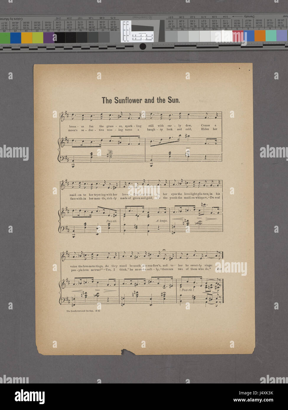 « Le tournesol et le soleil » fait référence à une œuvre d'art ou à une publication qui explore éventuellement la relation symbolique entre le tournesol et le soleil. L’œuvre pourrait véhiculer des thèmes de croissance, de nature et de lumière, en s’inspirant de la riche tradition d’utilisation des symboles de la nature dans l’art et la littérature. Banque D'Images