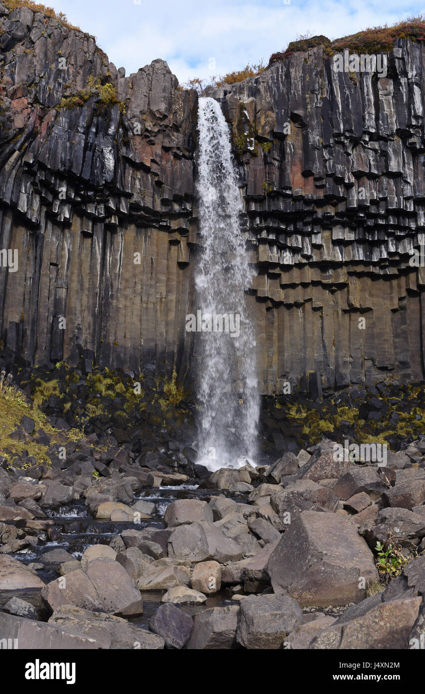 Cascade de Svartifoss dans le parc national de Skaftafell, l'Islande Banque D'Images