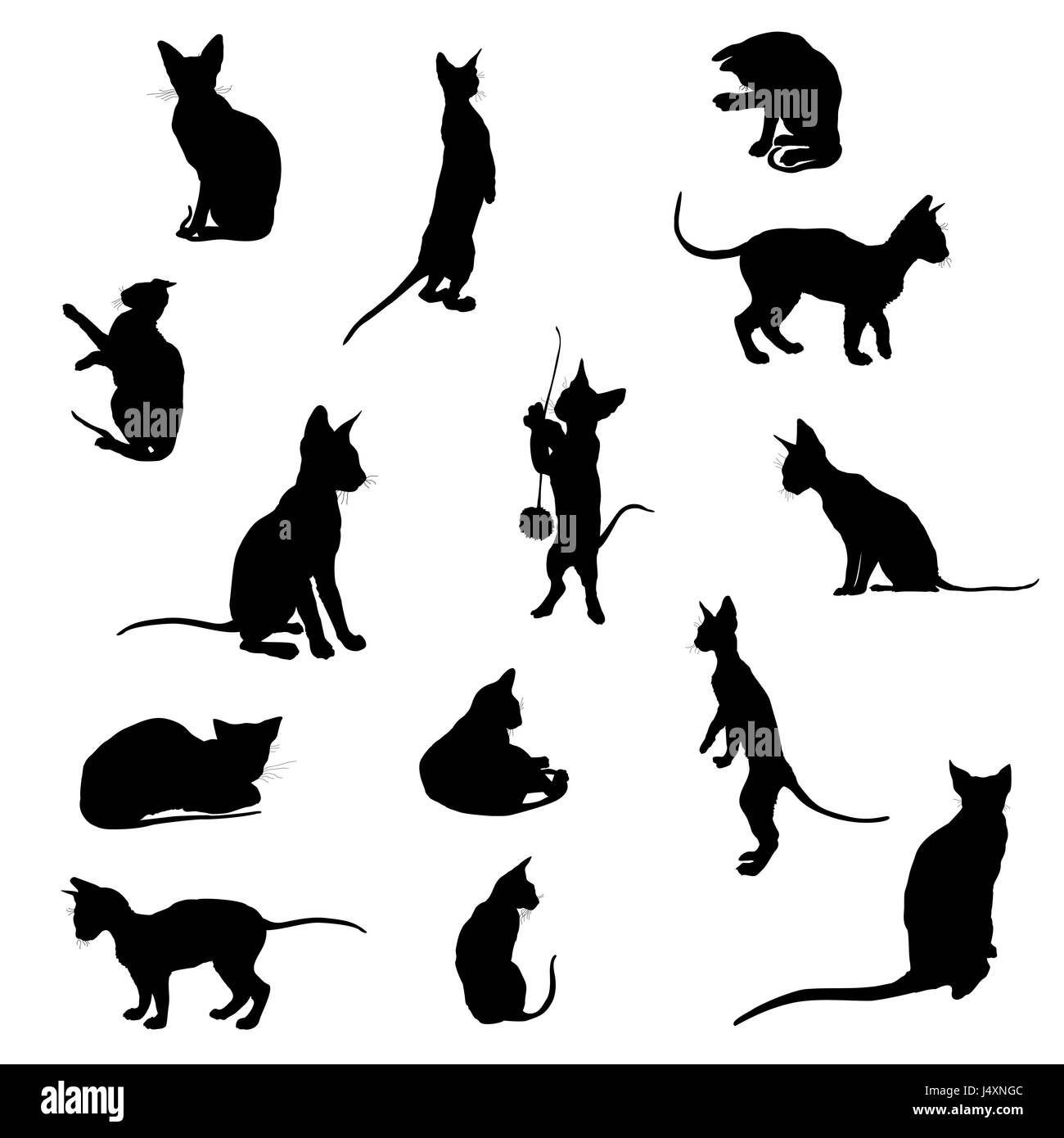 Jeu de silhouettes noires chats isolés (assis, debout, couché) sur fond blanc Illustration de Vecteur