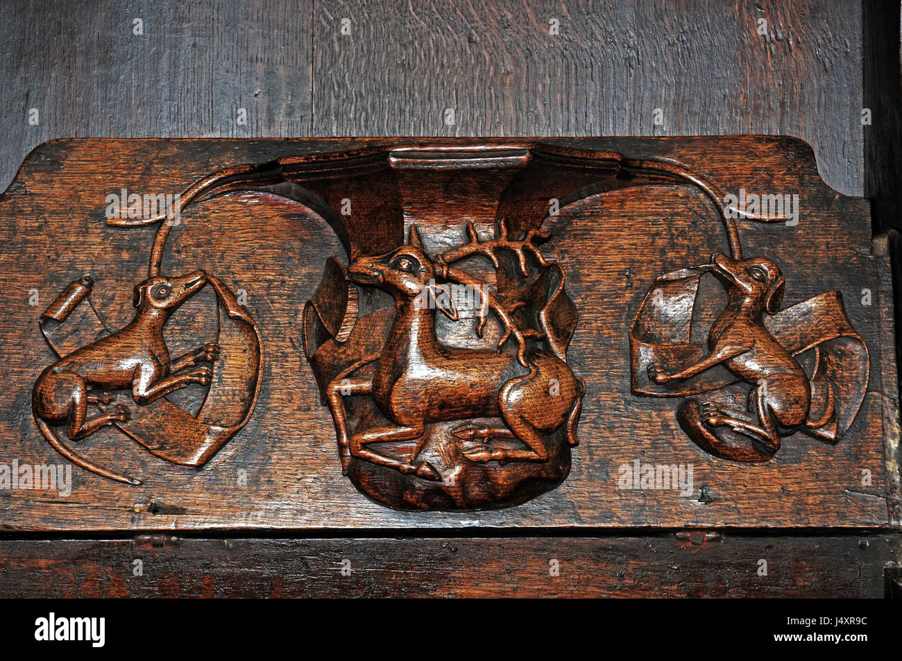 Misericord en église paroissiale de Saint-Laurent, Ludlow. Le Hart au repos, l'insigne de Richard II. Banque D'Images