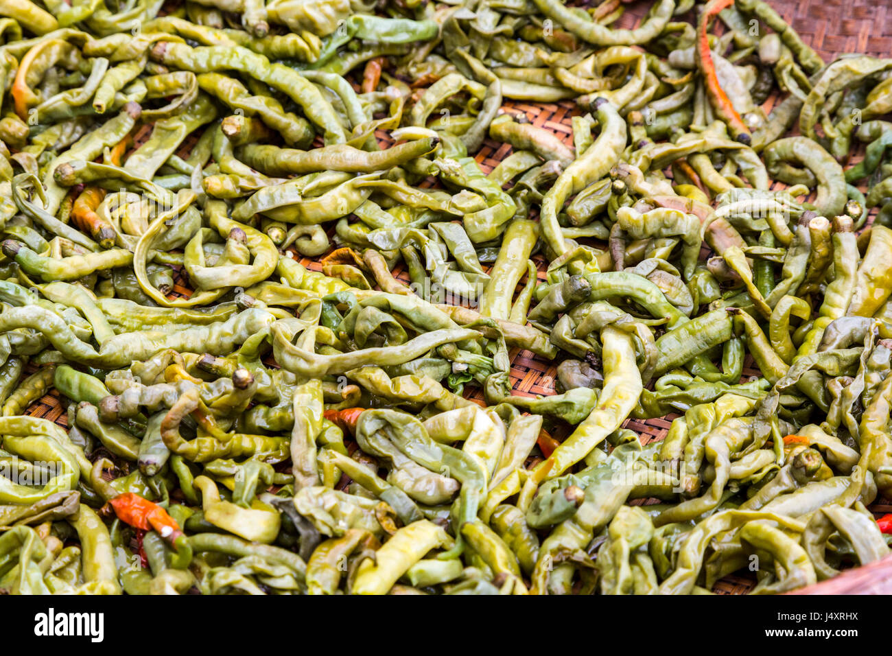 Zhenyuan, Guizhou, en Chine. Piment vert. Banque D'Images