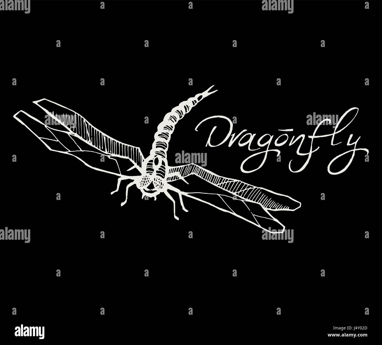 Hand drawn vector illustration d'encre de dragonfly sketch style iso Illustration de Vecteur