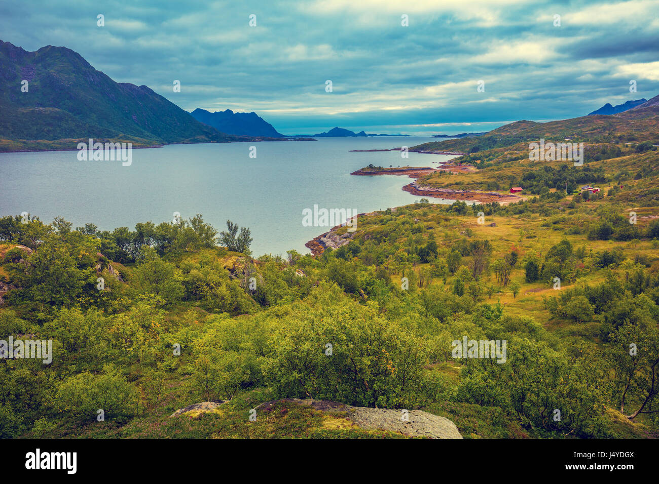 Vue sur le fjord. Rocky seashore avec bleu ciel nuageux. La belle nature de la Norvège. Marée basse mer Banque D'Images