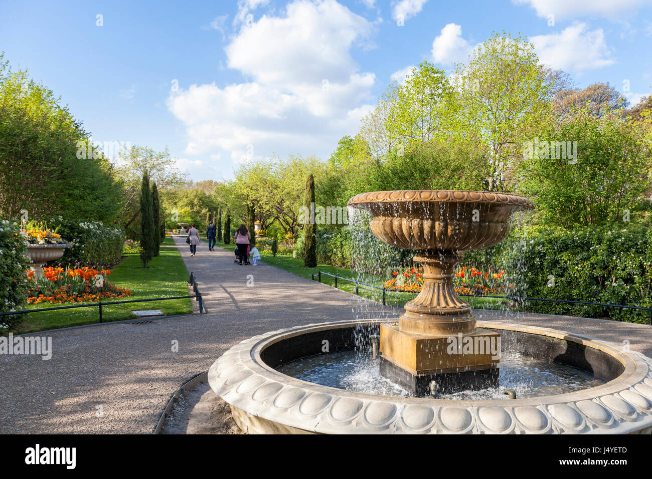 Fontaine, arbres et fleurs au printemps à l'Avenue Gardens at Regents Park, London, England, UK Banque D'Images