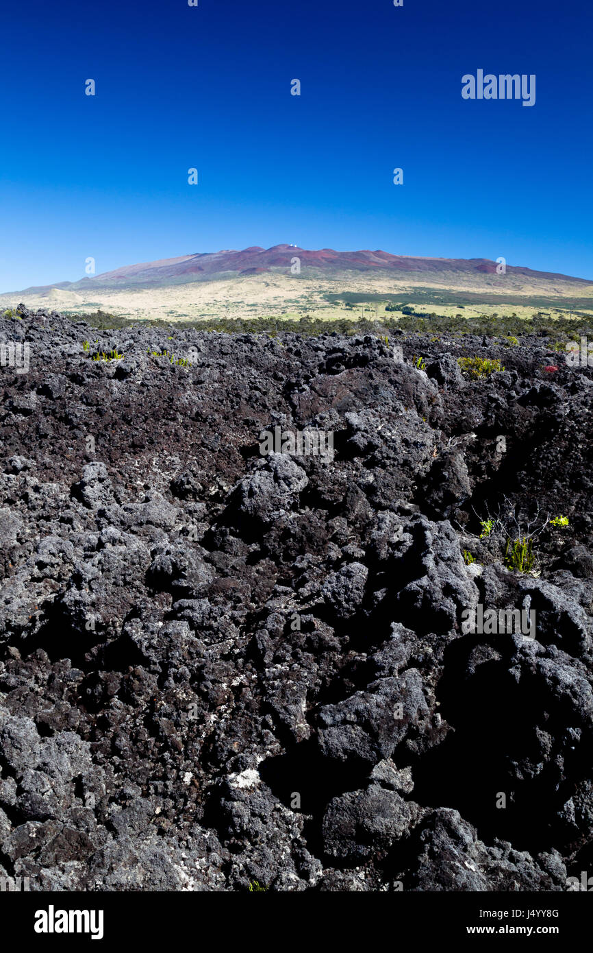 Mauna Kea sur Big Island, Hawaii, USA, sur une journée sans nuages. Banque D'Images