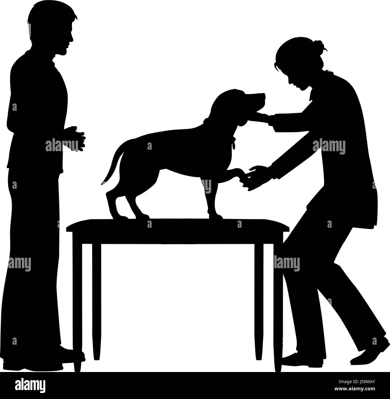 Vecteur modifiable silhouette d'une femme de l'examen vétérinaire un chien de compagnie avec les chiffres comme objets séparés Illustration de Vecteur