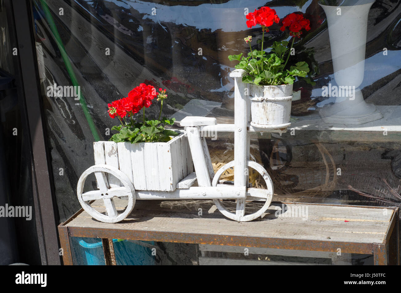 fleurs rouges dans une brouette Banque D'Images