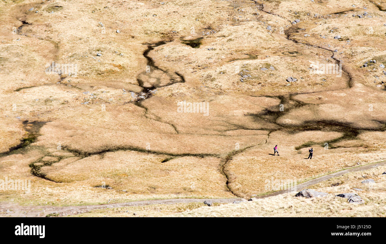 Les randonneurs traversent boggy sol à un bassin versant de montagne, vue de Ben Arthur, "le cordonnier", une montagne dans l'ouest des Highlands d'Écosse. Banque D'Images