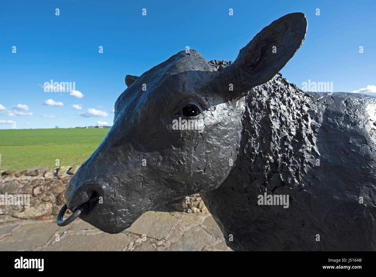 La célèbre statue de taureau noir sur le bord de la route à l'entrée est de la ville de Aberdeenshire Alford dans la région de Grampian, en Écosse. Banque D'Images