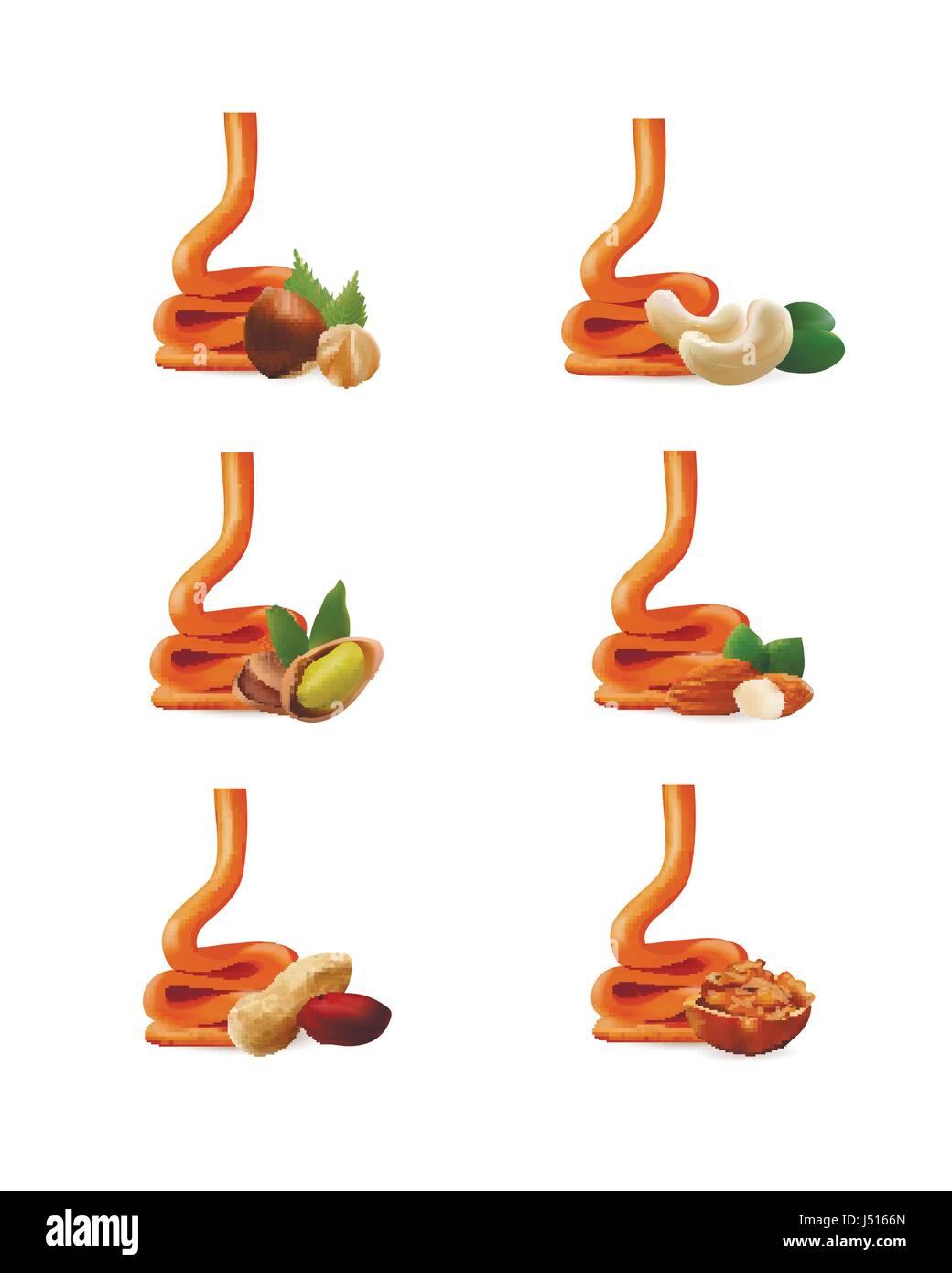 Caramel liquide avec nuts isolated on white Illustration de Vecteur
