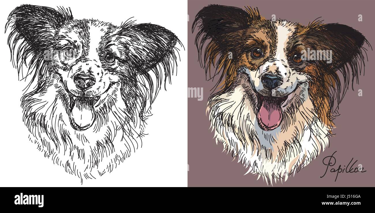 Portraits de vecteur et colorée en noir et blanc sur fond rose chien Papillon dessin Illustration Illustration de Vecteur