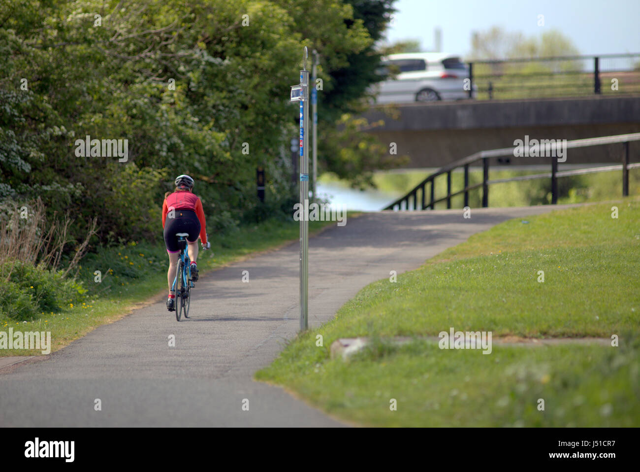 De suite et chemin de halage du canal Clyde single lady cyclist Banque D'Images