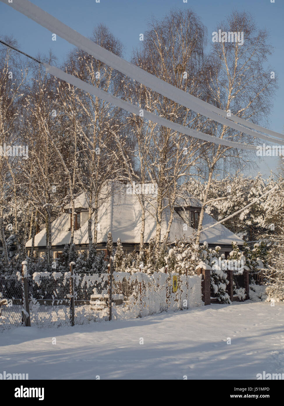 Une maison couverte de neige entre bouleaux. Sur le premier plan est visible téléphone congelé cabel. Banque D'Images