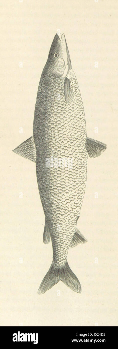 Croquis d'un voyage vers les lacs, de la nature et les coutumes des Indiens, et de Chippeway incidents liés au traité de Fond du Lac ... En outre, un vocabulaire de la langue ou, Algic Chippeway formé ... sur la base d'un ... par l'honorable A. Gallatin Banque D'Images