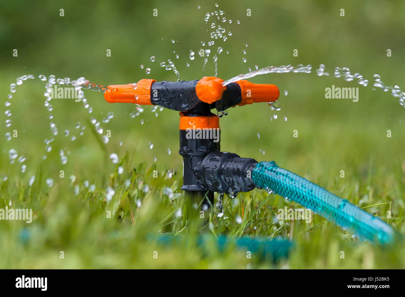 Pour l'irrigation sprinkleur jardin pelouse ou un jardin Banque D'Images