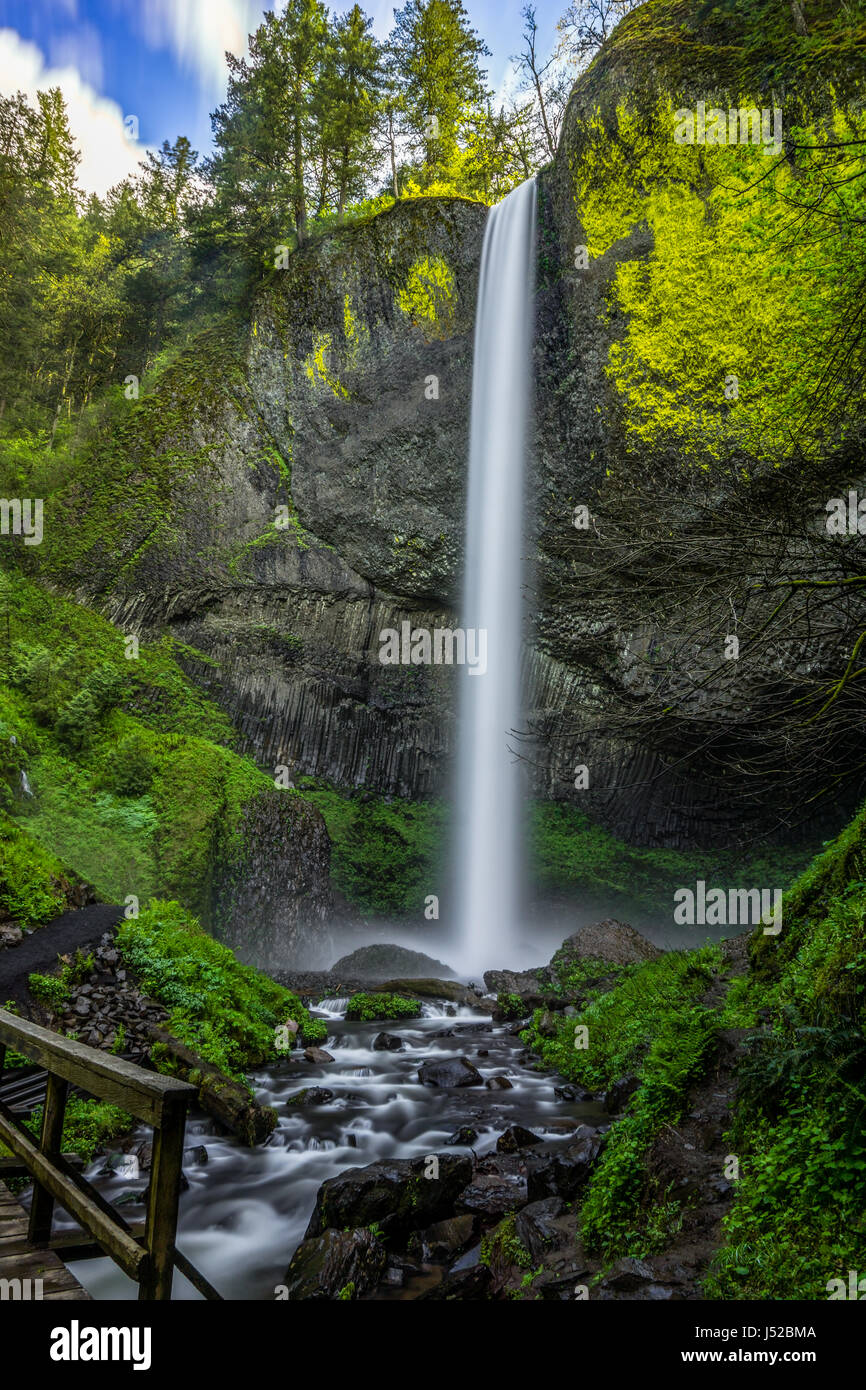 Latourell Falls- un de mes préférés de cascades sur le côté de l'Oregon Columbia Gorge à Corbett de l'Oregon. Pris sur une magnifique journée de printemps. Banque D'Images
