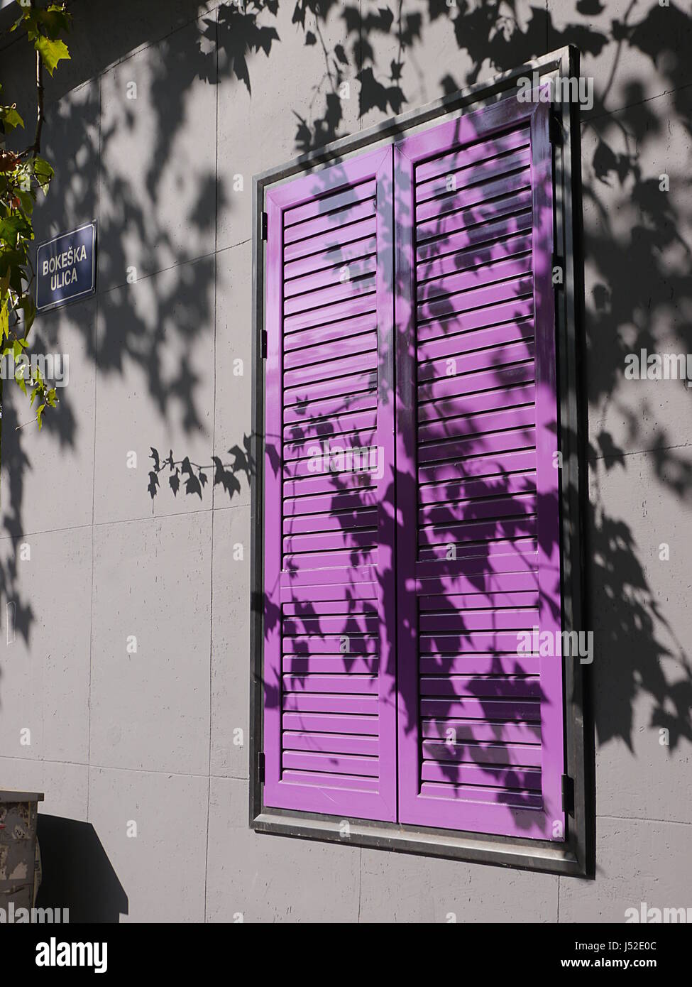 Volets violet sur une fenêtre à Podgorica, Monténégro, avec l'ombre d'un arbre Banque D'Images