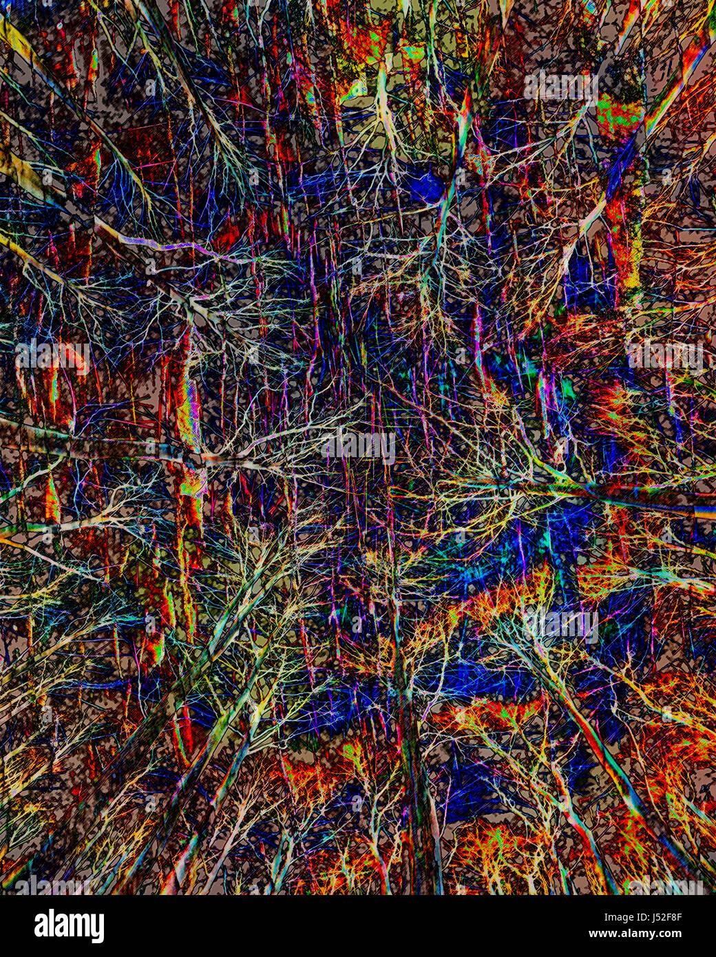 L'ART NUMÉRIQUE : atteignant jusqu' Banque D'Images