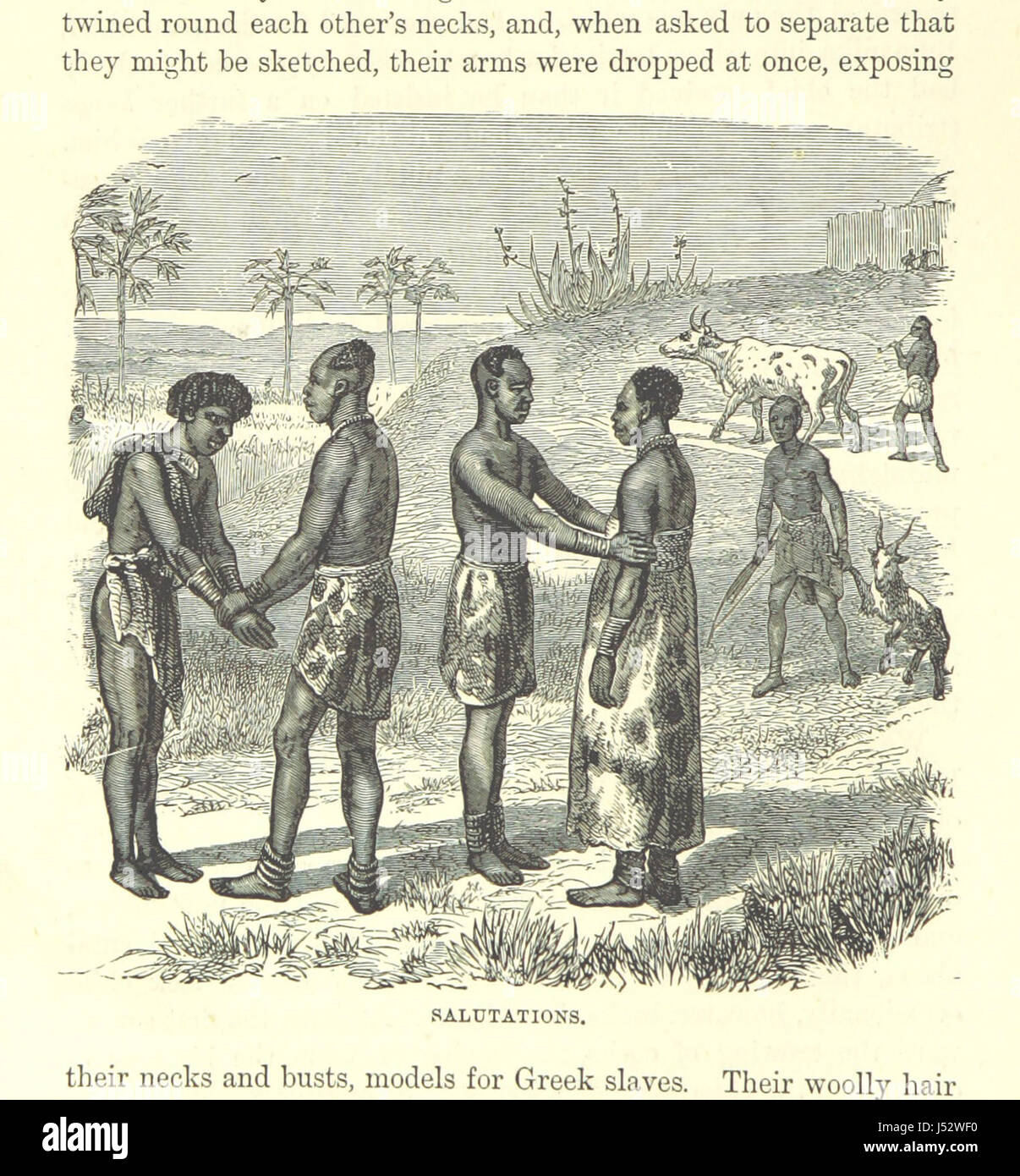 Beaucoup de voyageurs, de l'Afrique Mungo Park et Bruce Livingstone et Stanley ... Avec des illustrations ... Banque D'Images