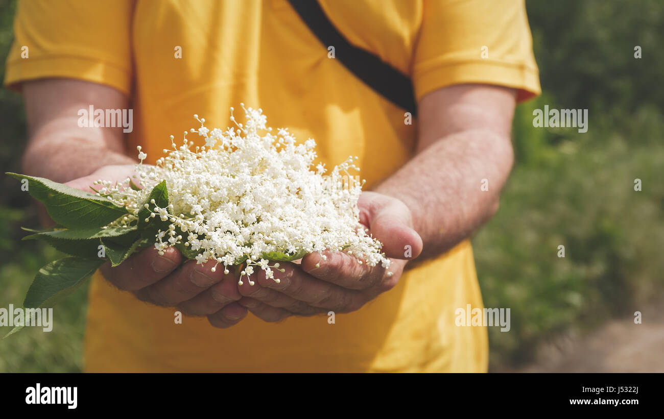 L'homme est debout à l'extérieur tenant un bouquet de fleurs dans les mains d'un aîné, Close up Banque D'Images