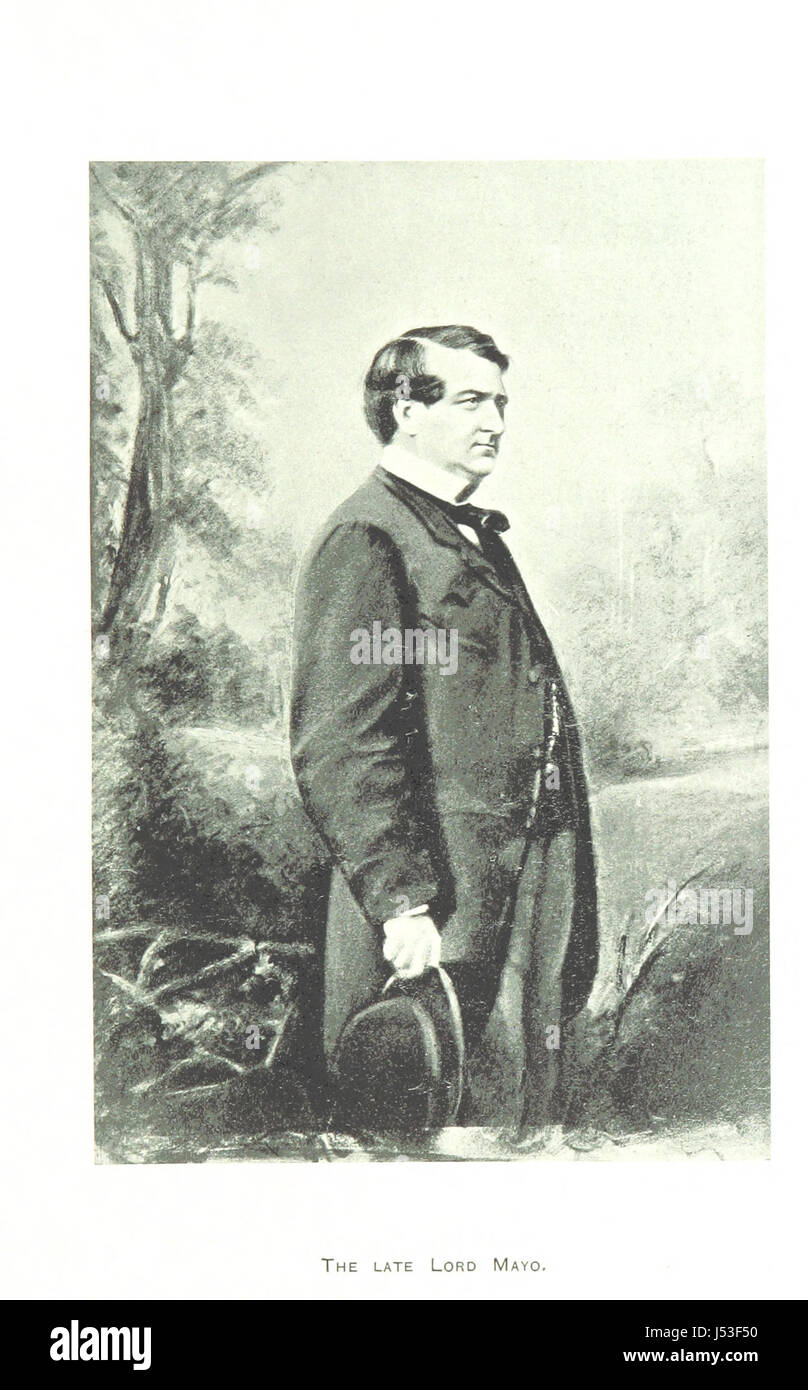 Château de Dublin Banque D'Images